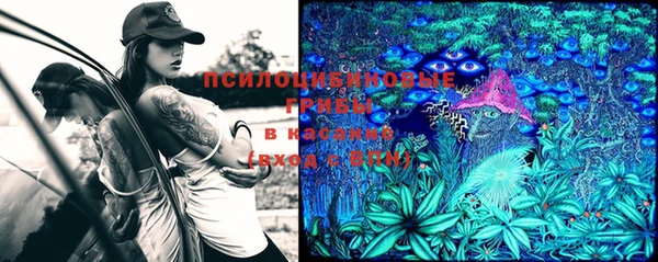 мдпв Лихославль