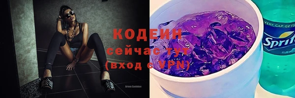 хмурый Липки
