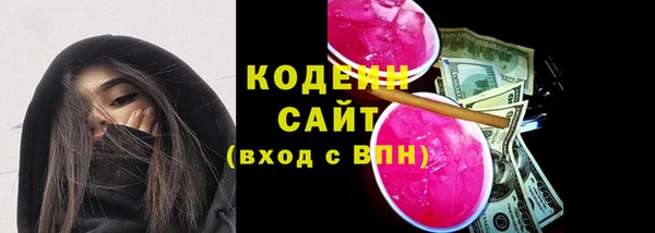 хмурый Липки