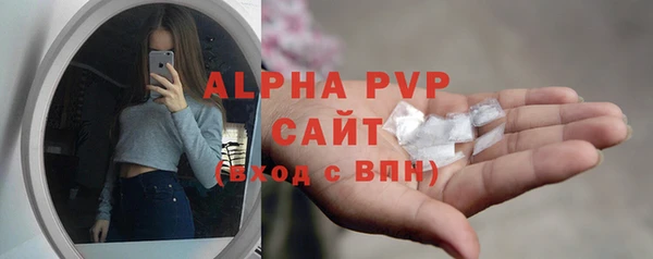 хмурый Липки