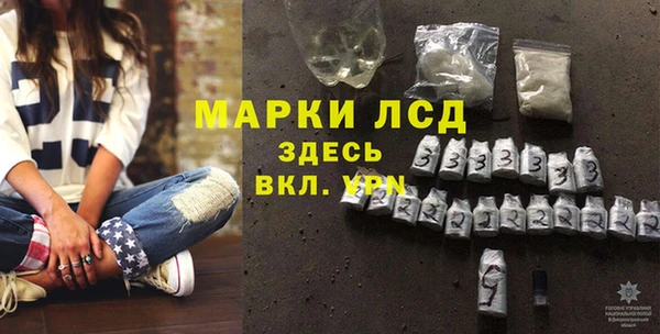 хмурый Липки