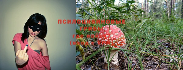 мдпв Лихославль