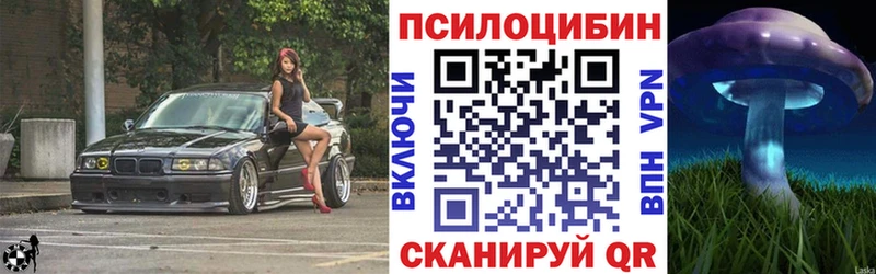 даркнет наркотические препараты  Серпухов  Псилоцибиновые грибы мицелий 