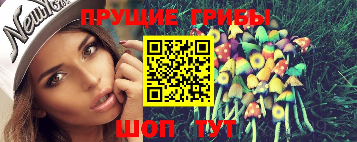 Псилоцибиновые грибы Psilocybe Серпухов
